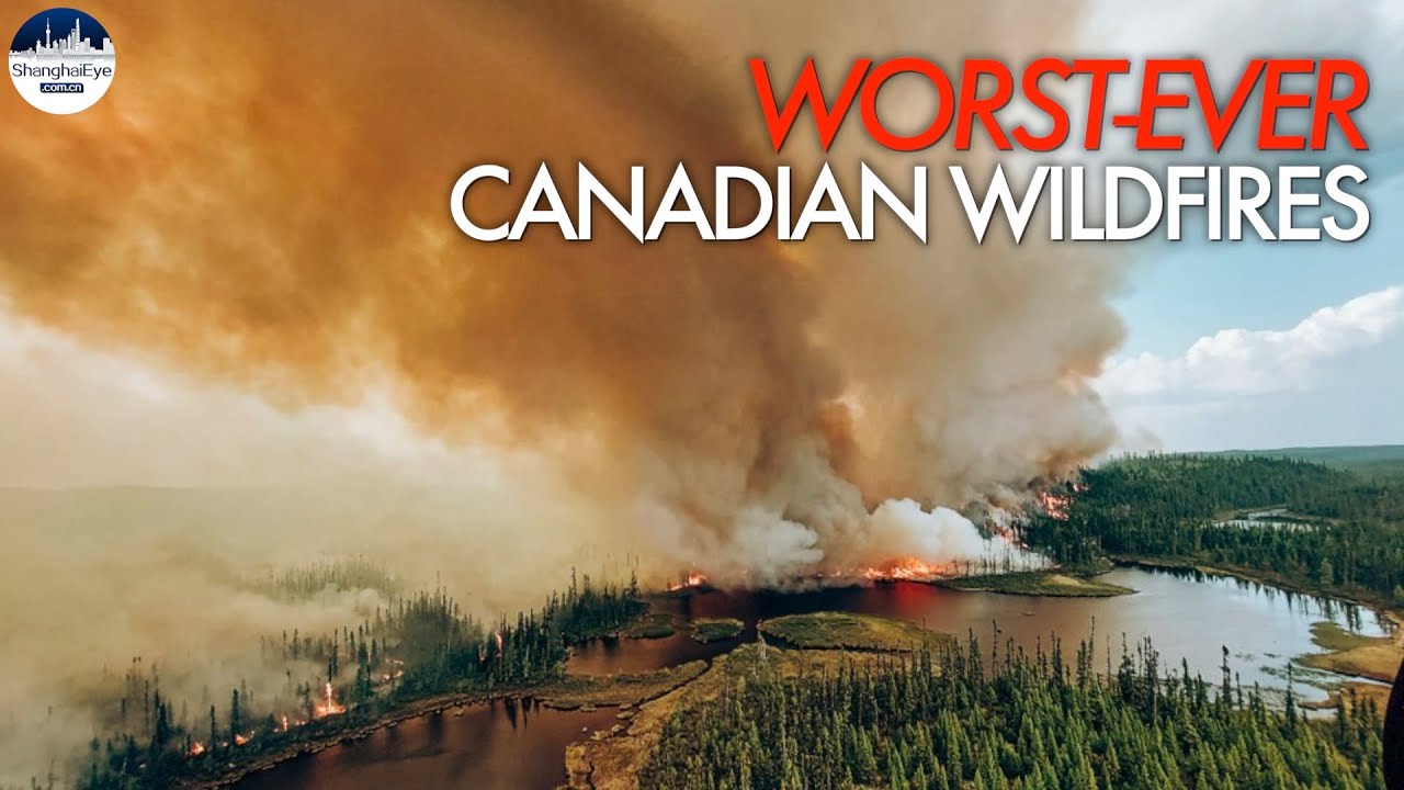 Thousands evacuated as over 1,000 wildfires ravage Canada; emergency ...