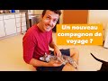 Des chats et des Canyons, l'Utah c'est vraiment génial ! | EP27