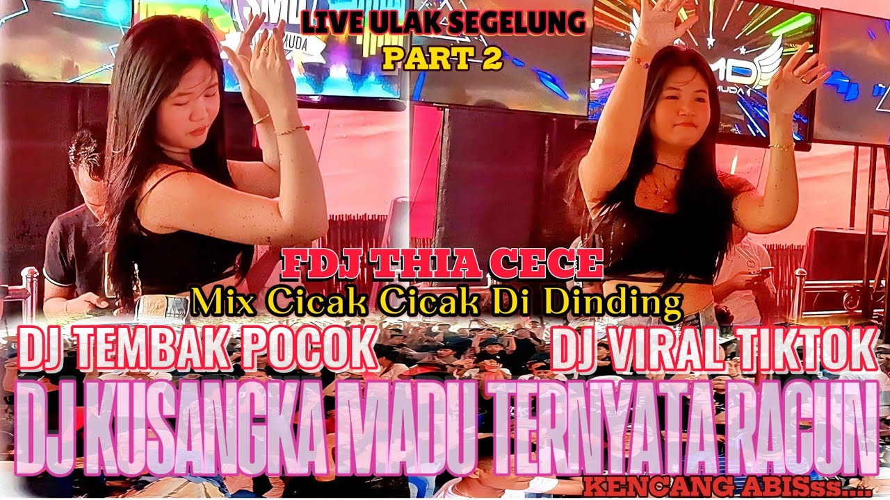 OT SMD • ‼️🔊FDJ THIA CECE 🔊‼️MUSIK  DJ VIRAL TEMBAK POCOK..🔊PART 2 LIVE ULAK SEGELUNG
