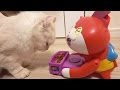 ジバニャンの寝込みを襲う猫【妖怪ウォッチ】