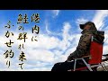 【鮭釣り】漁港に群れが来たのでフカセ釣り
