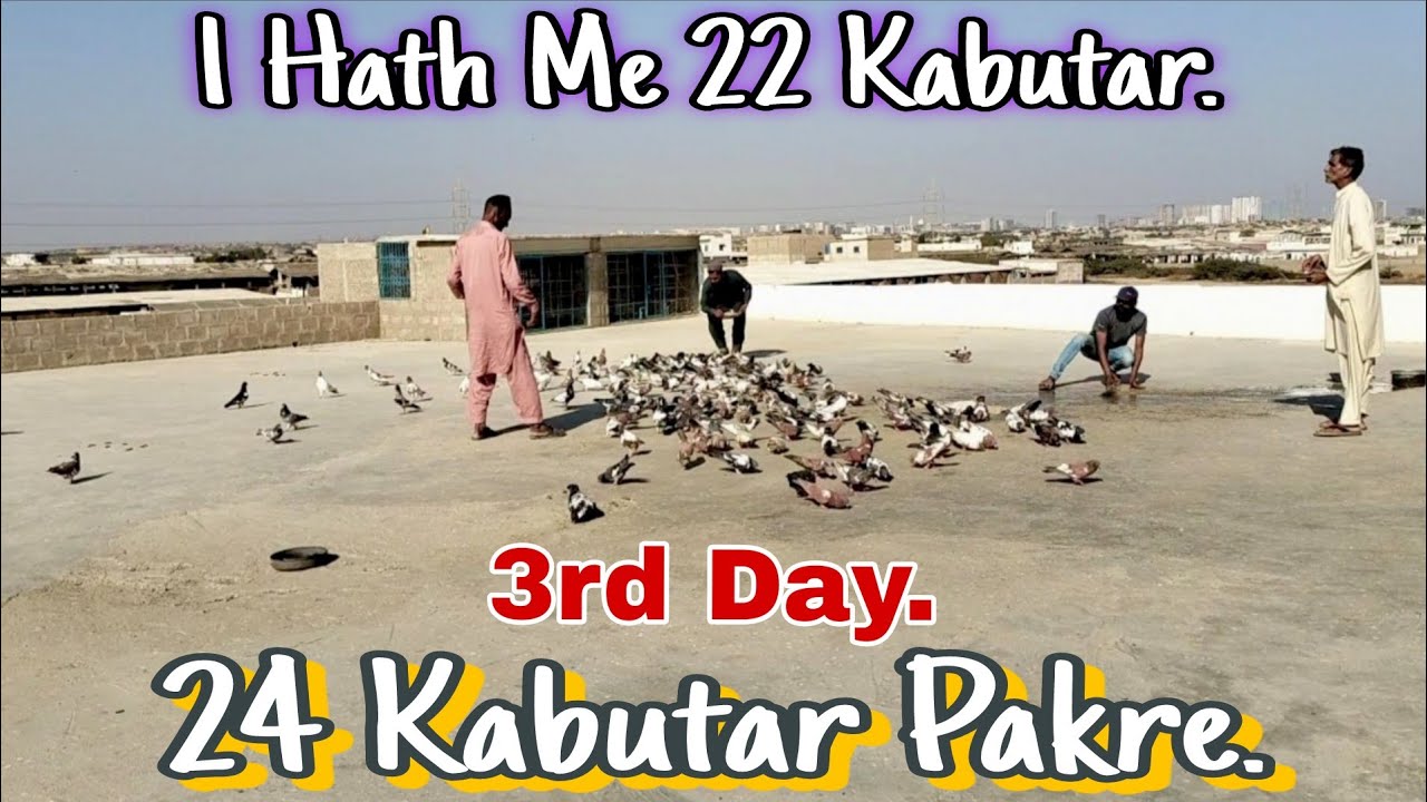 “3rd Day Shouq – Umair Bhai vs Bilal Bhai | 1 Hath Me 22 Kabutar | Total Score 27/6 🔥”