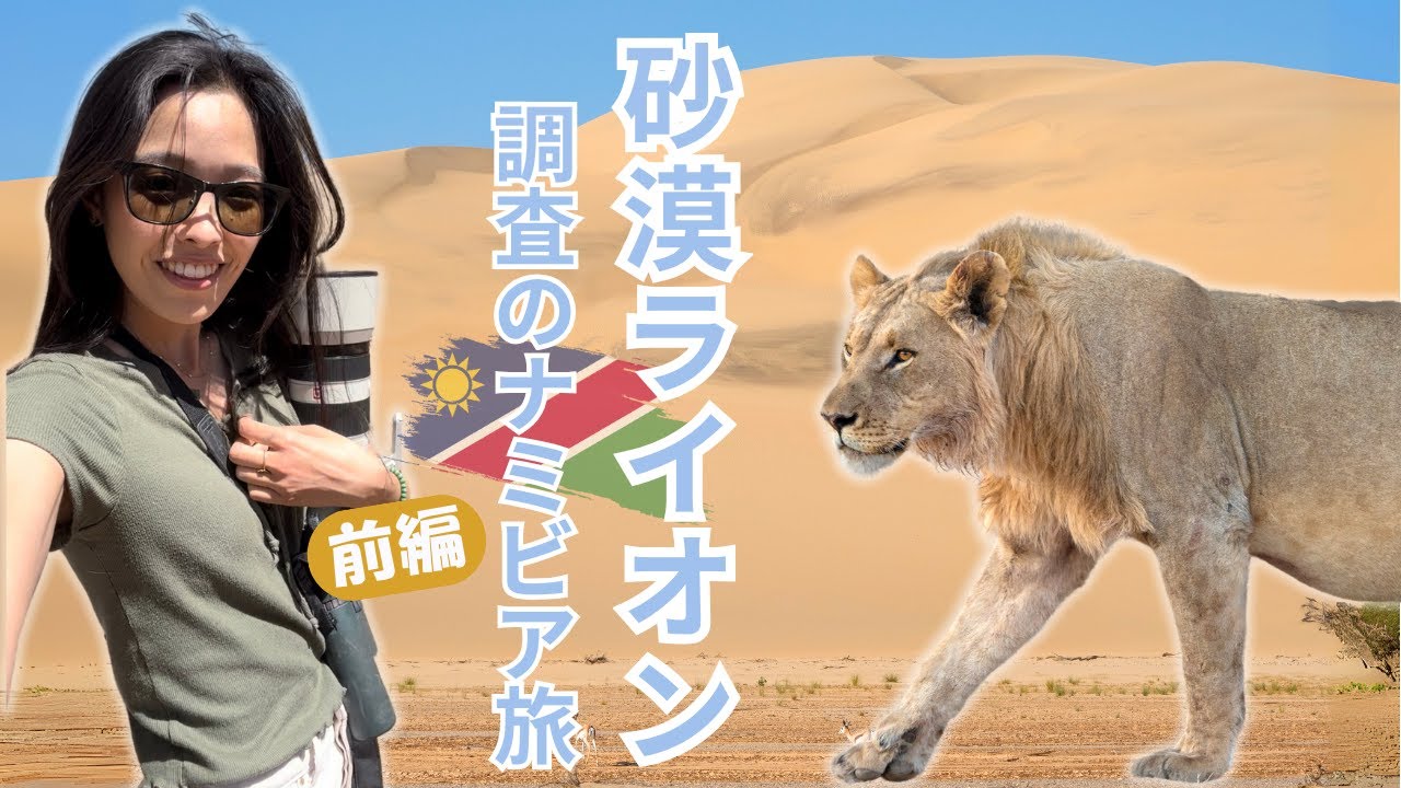 アフリカの工芸品（ライオンに乗る人） 幻の砂漠に暮らすデザートライオンを探す！研究者とナミビア調査