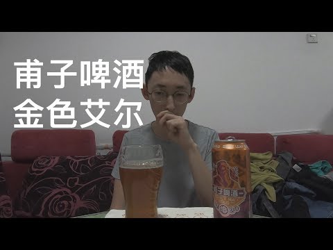 大跃 甫子啤酒 金色艾尔 精酿试喝
