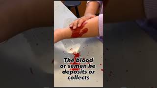 Forensic science Video Project