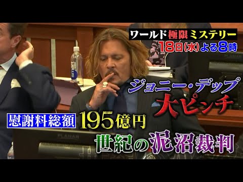 じょにーでっぷ様 リクエスト 2点 まとめ商品 ジョニー・デップvs元妻アンバー・ハード慰謝料総額195億円裁判を完全