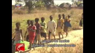 Angola 2013 -  Desminagem