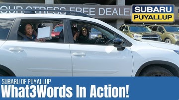 The Easiest Way to Share Exact Locations Anywhere | What3Words