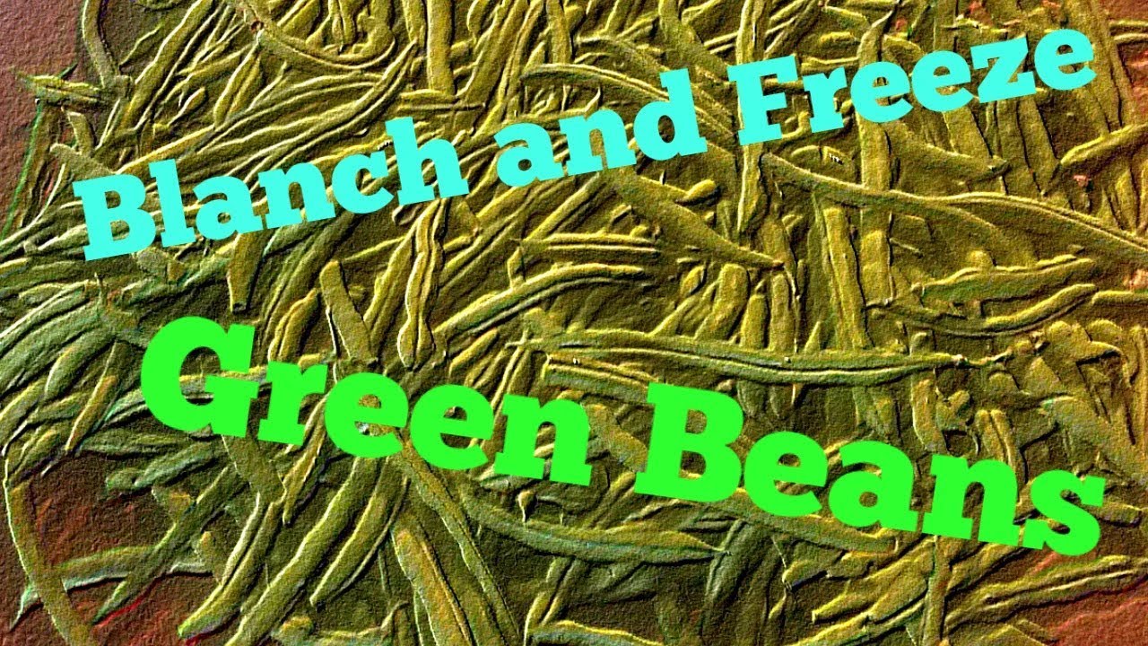 Blanch and freeze Green beans - YouTube