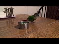 Buddy spins her cup.