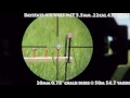 Plinking with daystate air wolf  chalk reactive targets  scope cam