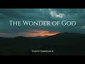 The Wonder of God  - Taryn Harbridge