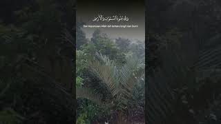 tranding sholawat sholawat murottal murottalmerdu murottalquran sholawatjibril sholawatnabi