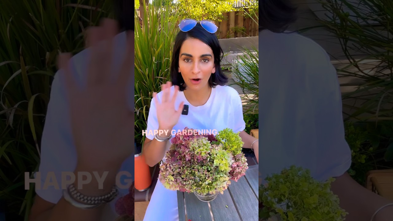 Dried hydrangeas, are excellent for fall decor.  Let me show you how easy it is. 🌸 