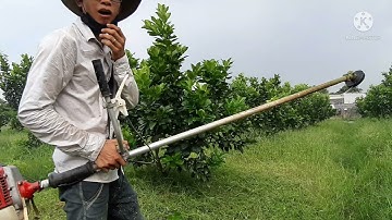 CẮT CỎ BẰNG CƯỚC MÁY CÙI BẮP NHƯNG SIÊU NHANH....