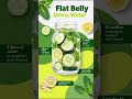 Flat Belly Detox Water Recipe 🥒🍋 | Burn Belly Fat Fast at Home! 🔥 #shorts #weightloss #beauty