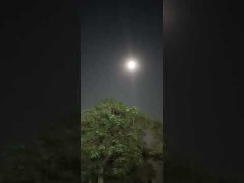 ذروة القمر المكتمل بعد خسوفه مع الشمس الثلاثاء 8 11 2022 ويسمى قمر القندس الدامى