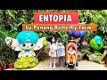 Entopia Penang Butterfly Farm Reopened | Starbucks Batu Ferringhi