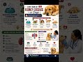 #kidneydiseaseindogs #renalissues #doghealth #pethealth #dogcaretips #vetadvice #petcareindia