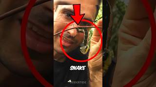 Natures Creepiest Caterpillar