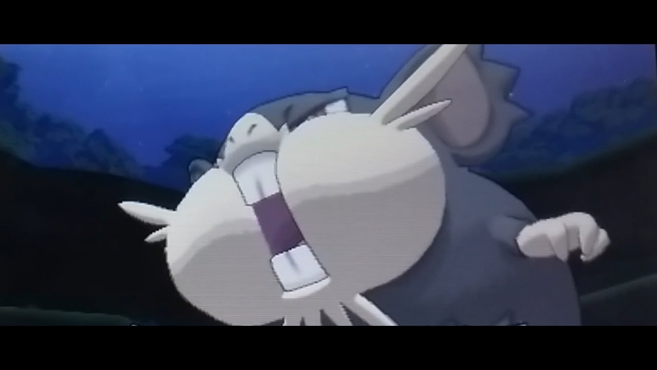 Totem Raticate Pokemon Luna - Totem Raticate - YouTube