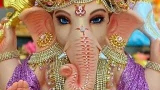 CLASS 95 SOFT CLEAN OF TEMPORARY DATA screenshot 5