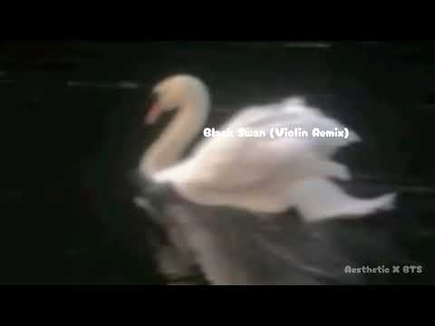 Black Swan X Violin Version Remix | BTS | Aesthetic X BTS | Original | 