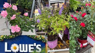 LOWES BEST NEW PLANTS-ARRIVALS FOR SPRING/SUMMER| HOW TO MAKE YOUR GARDEN BEAUTIFUL?