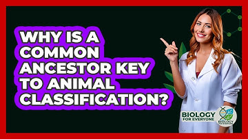 Why Is A Common Ancestor Key To Animal Classification? - Biology For Everyone