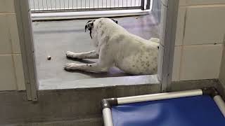 acs A681612