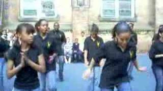 ICS Vision Steppers