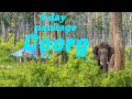 coorg tour with please | Coorg tour plan | Coorg tour guide | the Coorg travel planne | 4day package