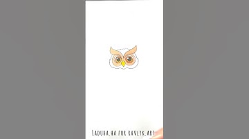 🦉✨ Draw an Owl Quick 🎨 Animal Guide for Everyone 🔴 #shorts #drawing #RavlykArt