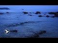 🌊 SOFT OCEAN WATER ▶ CALM NIGHT SLEEP ▶ 10 HOURS • 4K 😴