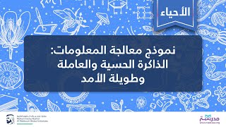 نموذج معالجة المعلومات: الذاكرة الحسية والعاملة وطويلة الأمد | الأحياء