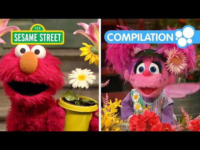 Sesame Street: Happy Earth Day Songs with Elmo | Nature Compilation