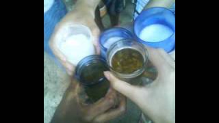 As Malandrinhas De O.c