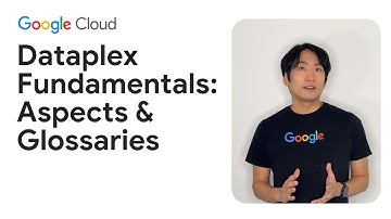 Dataplex fundamentals: Aspects & glossaries