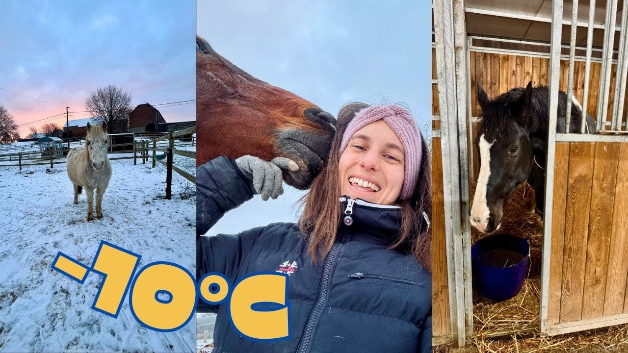 ON EST VICTIME DE LA TEMPÉRATURE !