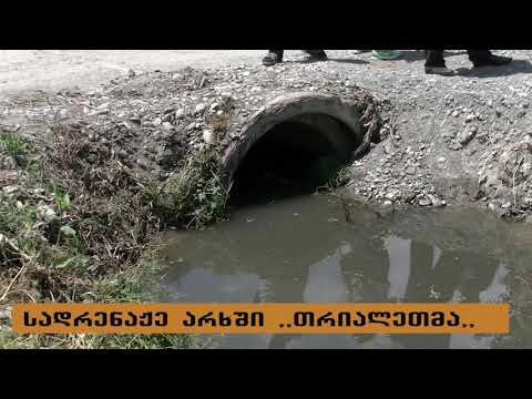 ბერბუკის დევნილთა ჩასახლების სადრენაჟო არხში თევზები დაცურავენ
