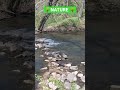 #nature #explore #walkthrough #love #life #goals #fyp
