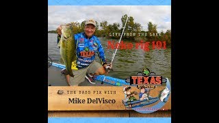 The Bass Fix Live - Neko Rig 101