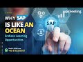 Why SAP is Like an Ocean: Endless Learning Opportunities | Upskeeling