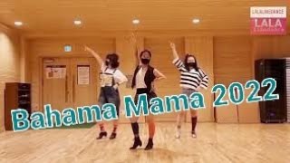 Bahama Mama 2022 linedance 바하마마마 2022 라인댄스/ High Beginner