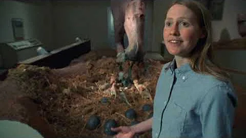 Kristi Curry Rogers, Paleontologist - How Dinosaur...