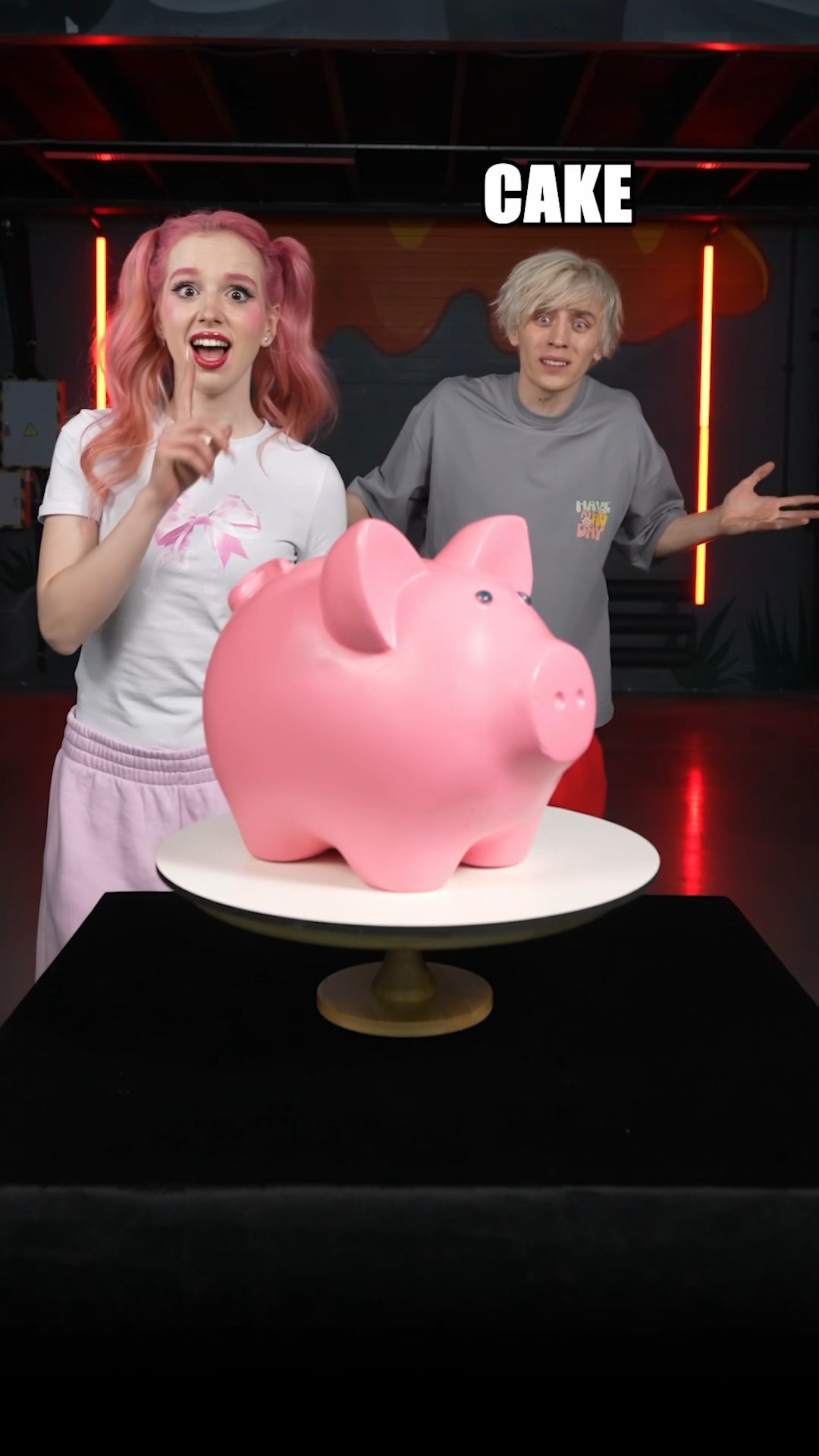 Is it Cake or Fake ? ?