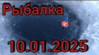 видео: Рыбалка на поплавок 10 января 2025 г. на озере!Эти рыбины топят поплавок на дно озера!Зимняя рыбалка картинка: Рыбалка на поплавок 10 января 2025 г. на озере!Эти рыбины топят поплавок на дно озера!Зимняя рыбалка