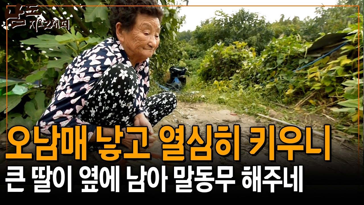 어려운 환경에도 오남매를 낳고 열심히 키우니 딸 하나 남아서 웃으며 사네~ [남도지오그래피] 150930