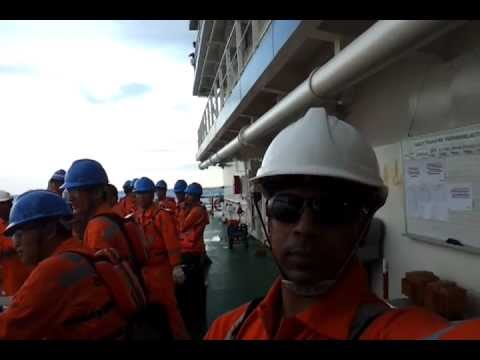 Update New Offshore life
