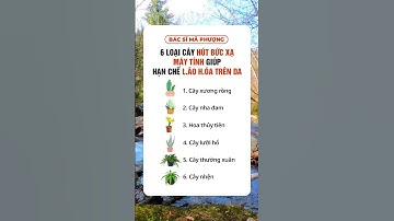 6 loại cây hút bức xa máy tính giúp hạn chế lão hóa trên da | Bác sĩ Mã Phượng